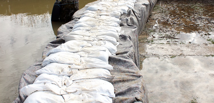 毒情監(jiān)測(cè)-污水驗(yàn)毒檢測(cè)