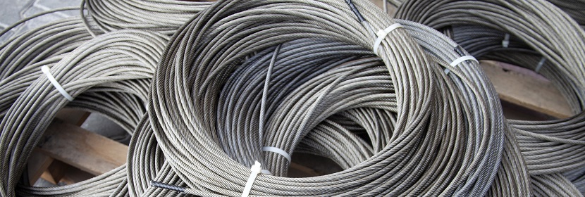 肉類(lèi)食品檢測(cè)指標(biāo)及檢測(cè)標(biāo)準(zhǔn)