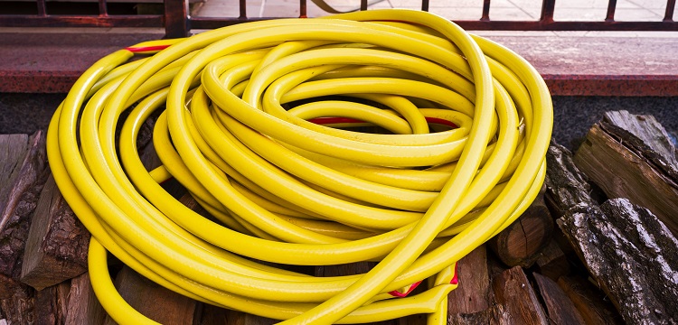 你知道流感病毒是怎么檢測(cè)的嗎 ?ISO10993-5的體外細(xì)胞毒性測(cè)試應(yīng)該怎么做 