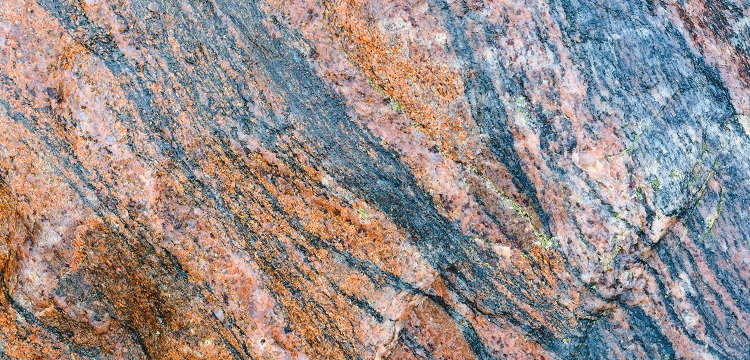 2022年廣東省最新林業(yè)碳匯申報要求匯總：方法學、申報模板、材料清單