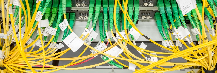 公共衛生考研，這是最好的時期?。。?【2022為民實事系列評論】筑牢公共衛生防護網，是須臾不可放松的大事 健明迪檢測