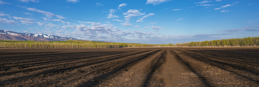 耕地土壤剝離驗(yàn)收