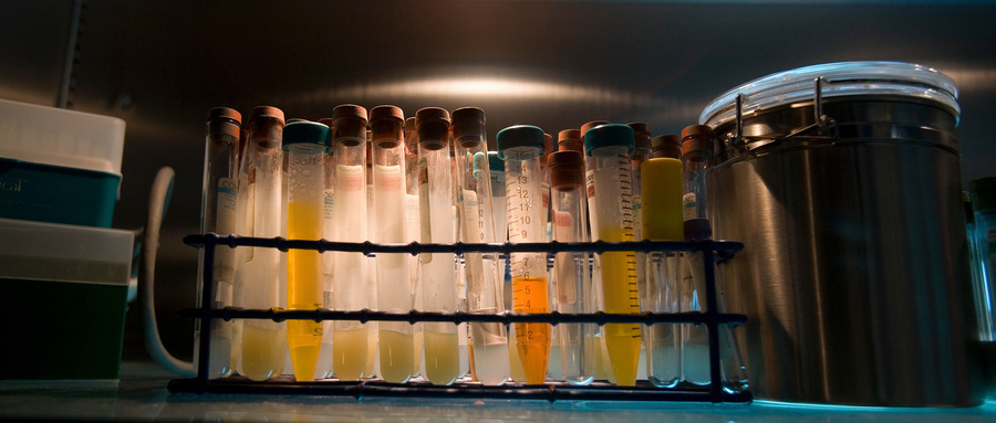 水質(zhì)檢測(cè)機(jī)構(gòu)