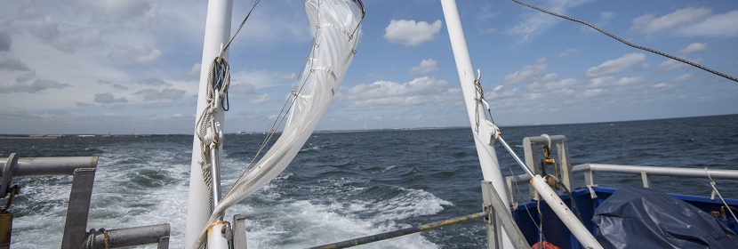 海洋儀器環境試驗