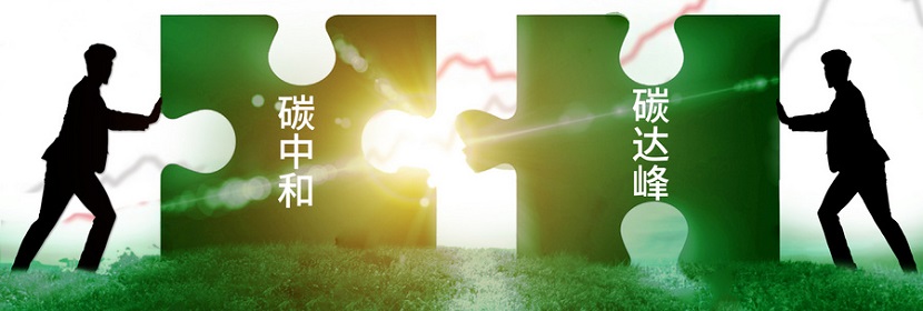 碳中和咨詢(xún)