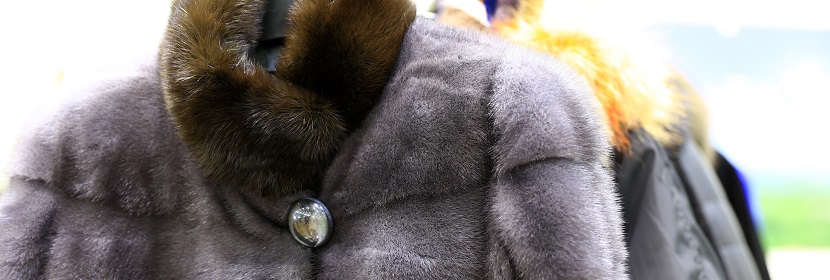 毛皮透水汽試驗