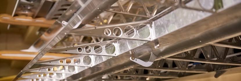 D173L轉基因原發性高血壓小鼠模型