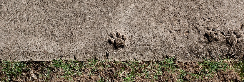 混凝土外加劑檢測