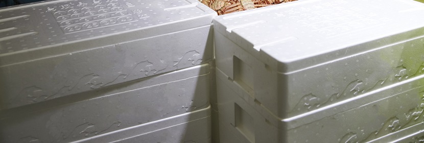 無(wú)菌檢測(cè)