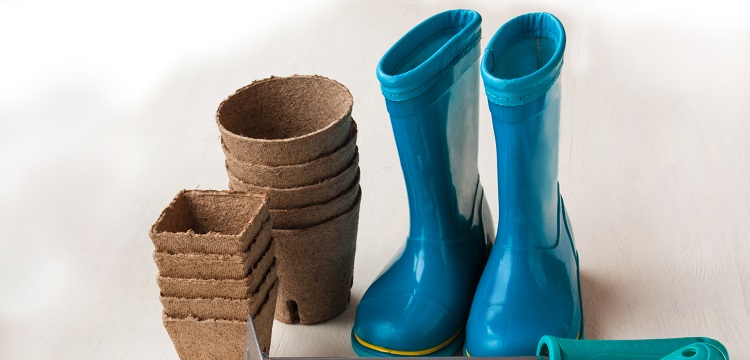 腦立體定位注射實驗